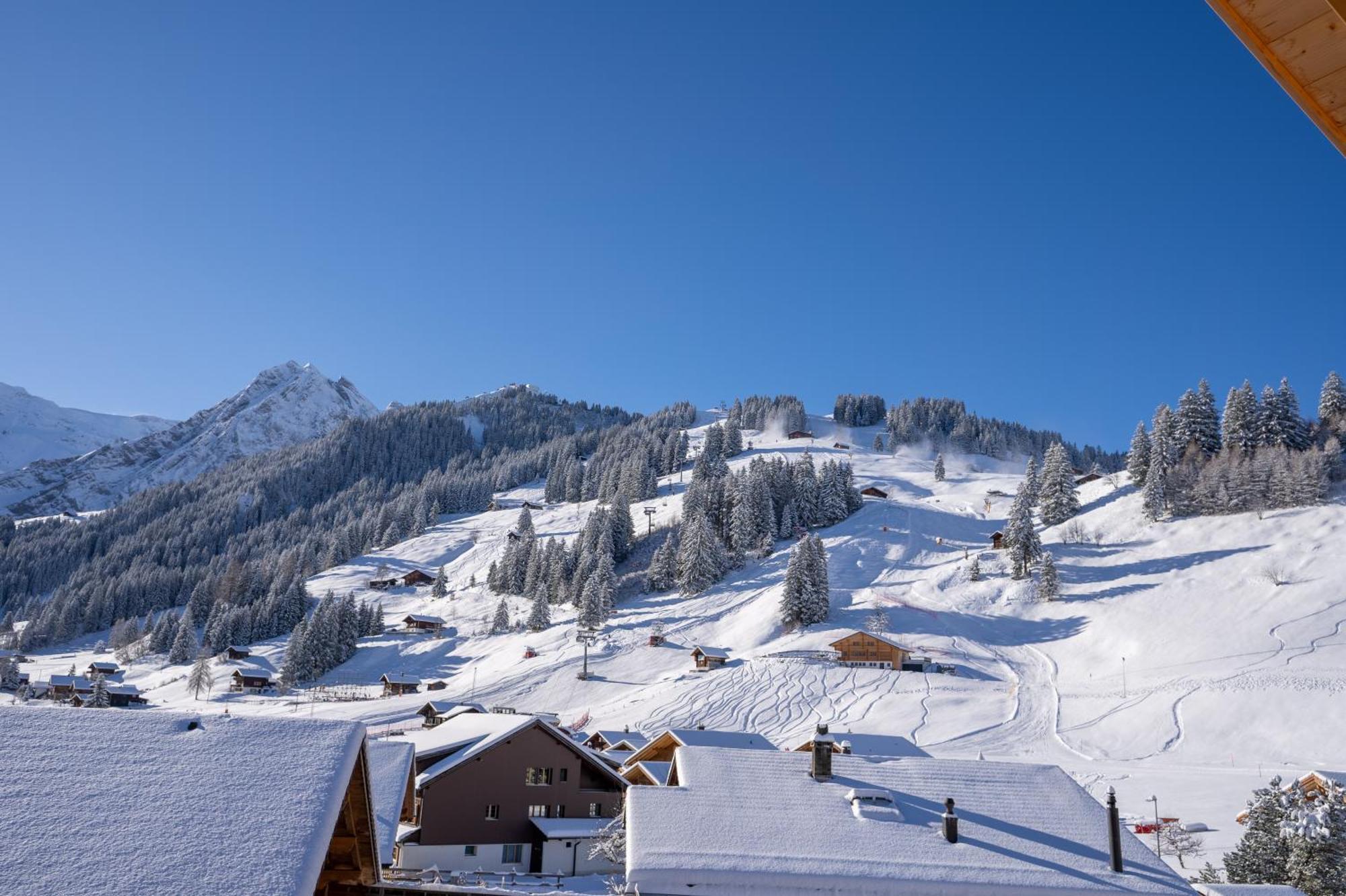 Chuenislodge2- Zwei Balkone, Gemuetlicher Kamin, Top Aussicht Adelboden Exterior foto